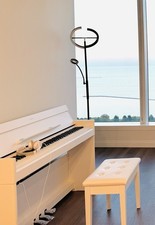 Sale yamaha ydp for sale  Chicago