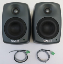 Genelec 4020c paar gebraucht kaufen  Pfullendorf