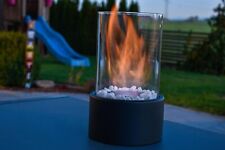 Technigart ethanol kamin gebraucht kaufen  Mindelheim