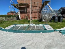 Green isabella ambassador for sale  CONGLETON