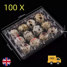100x quail egg for sale  COALVILLE