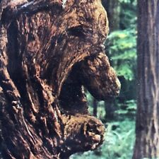 Old man burl for sale  Ypsilanti