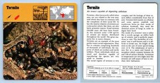 Termite insects 1970 for sale  SLEAFORD
