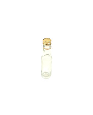 Garrafa de vidro W. Buchter vazia vintage garrafas colecionáveis retrô decorativa rara comprar usado  Enviando para Brazil