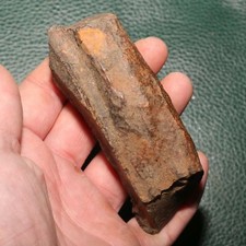 Triceratops jaw skull for sale  Scottsdale