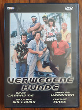 Dvd verwegene hunde gebraucht kaufen  Augsburg