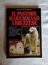 Pastore maremmano abruzzese usato  San Cesareo