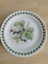 Portmeirion pomona salad for sale  BRIERLEY HILL