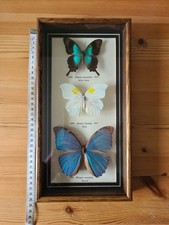 Vintage set framed for sale  GLASTONBURY