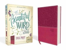 Niv beautiful word for sale  Philadelphia