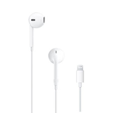 Apple auricolari earpods usato  Roccagloriosa