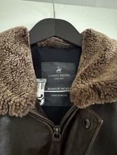 Braune ludwig reiter gebraucht kaufen  Rösrath