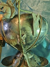 Antique brass bronze for sale  Oneonta