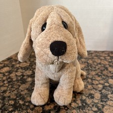 Puppy dog hound for sale  Ogden