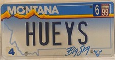 Vanity huey license for sale  USA