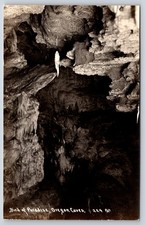 Rppc bird paradise for sale  USA