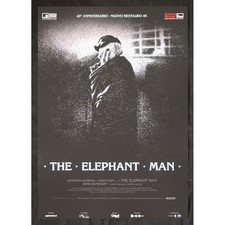 Locandina the elephant usato  Nocera Superiore