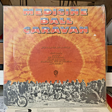 Medicine ball caravan usato  Modena