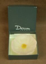 Belle fleur cactus d'occasion  Meximieux