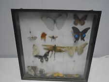 Antique display case for sale  LEICESTER