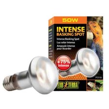 Exo terra intense gebraucht kaufen  Waldkirch