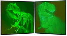 Hologramm holographie phasen gebraucht kaufen  Berlin