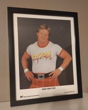 Wwf rowdy roddy for sale  Katy