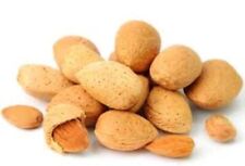 Almond tree seeds for sale  CAMBORNE