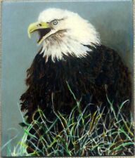 American bald eagle for sale  Gainesville