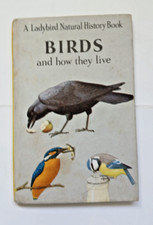 Choice ladybird nature for sale  SUTTON COLDFIELD