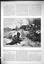 Old antique print for sale  UK