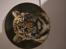 Princeton gallery tiger for sale  CARDIFF