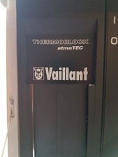 Vaillant thermoblock atmo gebraucht kaufen  Saalburg