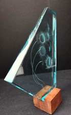 Etched glass panel for sale  Evanston
