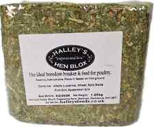 Halley hen perfect for sale  STRATFORD-UPON-AVON