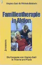 Familientherapie aktion konzep gebraucht kaufen  Neumünster