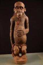 9616 afrikanische grosse gebraucht kaufen  Leipzig