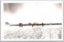 Vintage reindeer herd for sale  Albany