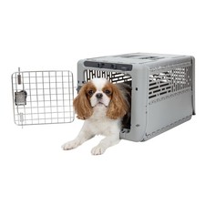 Sport pet designs for sale  Bristol