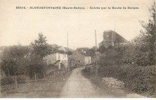Haute saone blondefontaine d'occasion  France