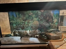 Super angebot aquarium gebraucht kaufen  Kölleda