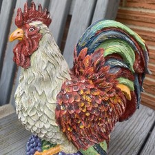 Youngs rainbow chicken for sale  Covington