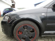 Kotflügel links audi gebraucht kaufen  Georgsmarienhütte