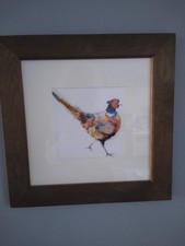 Pheasant print picture for sale  GLOUCESTER