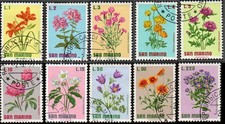 Marino 1971 fiori usato  Italia
