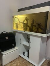 Acquario juwel rio usato  Roma