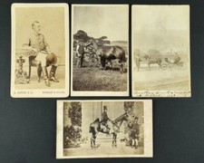 Horses riders riding for sale  INVERGORDON