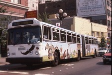 Usado, Mural Original Bus Slide Metro Articulado Animais Africanos Pintado 1989 #35 comprar usado  Enviando para Brazil