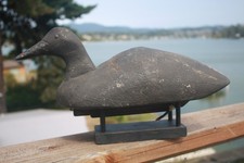 Coot decoy unknown for sale  Lincoln City