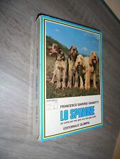 Gianotti f.s. spinone usato  Catania